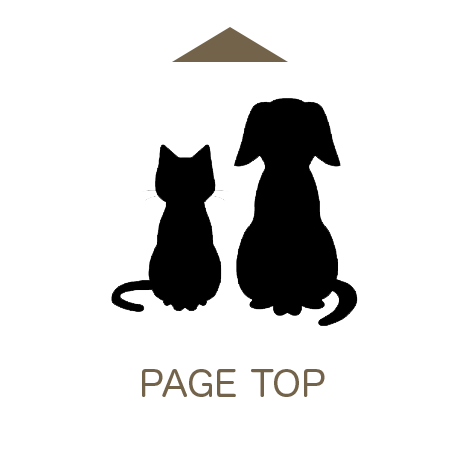 PAGE TOP